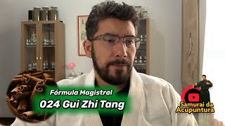 024 Gui Zhi Tang [upl. by Ri27]