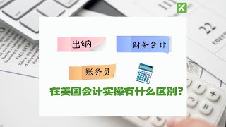 上市公司财务总监与电商财务主管解答在美国会计实操中出纳，账务员 Bookkeeper，财务会计 Financial Accountant三个 工作岗位的区别 [upl. by Eelik]