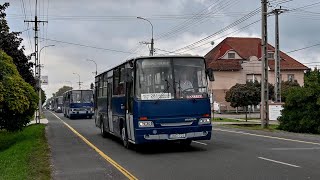 Setkání autobusů Ikarus v Budapešti 2024 [upl. by Rutter441]