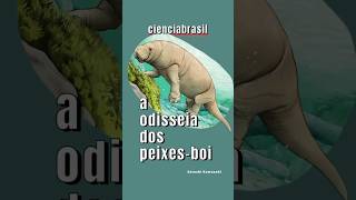 A ODISSEIA DOS PEIXESBOI [upl. by Arabrab]