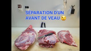 Séparation dun avant de veau par FIFI LE CEVENOL [upl. by Atsirk333]