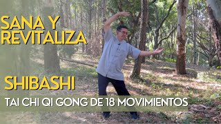 Tai Chi Qi Gong de 18 Movimientos  Shr Ba Shr SHIBASHI  FACIL Y EFECTIVO [upl. by Alain]