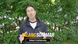 Talangsommar med Kisfaludy – Inför Gothia [upl. by Shadow]