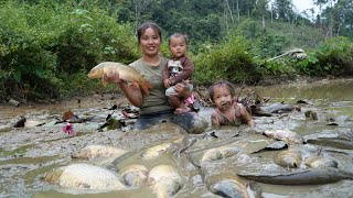 How to harvest longterm fish ponds and bring them to the market to sell with your children [upl. by Soutor267]