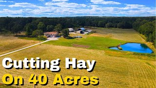 Cutting Hay With a Disk Mower on a Compact Tractor [upl. by Atnahc664]