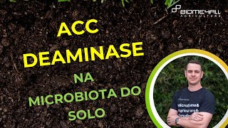 ACC DEAMINASE NA MICROBIOTA DO SOLO  AGRICULTURA [upl. by Aramoix]