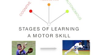 Stages of Learning Skill Acquisition  PE amp Sport Motor Skills [upl. by Earissed725]