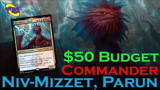 NivMizzet Parun Budget Commander  Budget Izzet Spellslinger with Upgrades amp Top 10 Cards  TM MTG [upl. by Htabazile348]