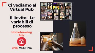 Virtual Pub  I lieviti e le variabili di processo [upl. by Irita]