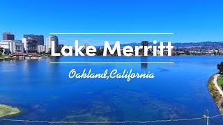 quotShort Drone Flight around Lake Merritt 4k Footagequot oakland aerialfootage djimini4pro [upl. by Julis]