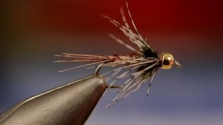 Bead Head Soft Hackle Pheasant Tail [upl. by Saxe]