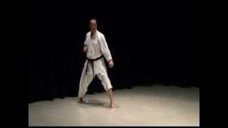 Empi Shotokan Karate Kata [upl. by Sihunn]