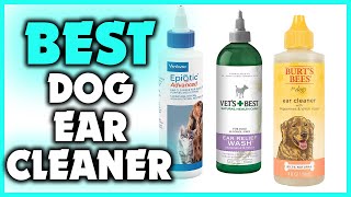 5 Best Dog Ear Cleaner in 2022 [upl. by Stevena325]