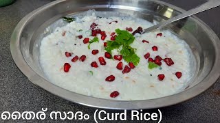 തൈര് സാദം  CURD RICE  Thayir Sadam with Leftover Rice  Healthy Village Food  Curd Rice Malayalam [upl. by Lladnik407]