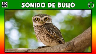 SONIDO DE BUHO 🦉 [upl. by Eneleahcim490]