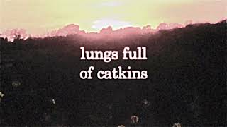 saturns lament  lungs full of catkins lyric video [upl. by Pardo]