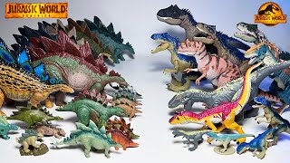 NEW STEGOSAURUS vs ALLOSAURUS Jurassic World Dominion Dinosaurs Collection Comparison [upl. by Baylor]