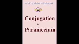 Conjugation in paramecium [upl. by Chatwin]