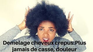 Comment Demeler les cheveux Crepus secs sans les Casser [upl. by Otho]