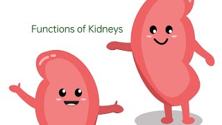 KidneyFunctions HealthAwareness MedicalKnowledge NursingEducation HealthInsights [upl. by Ilyah]