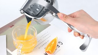 Best Manual Fruit Juicer Review 2020 —— Does it work？ [upl. by Nivaj]