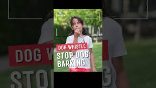 High Pitched Dog Whistle Sound shorts [upl. by Symer]