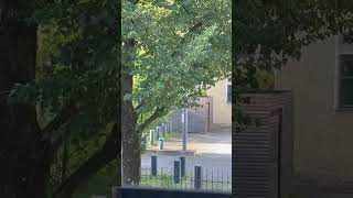 FullVideo Versuchter Terroranschlag in München 18 jähriger Österreicher von der Polizei erschossen [upl. by Evol]