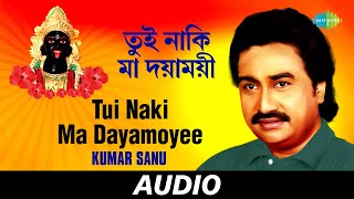 Tui Naki Ma Dayamoyee  Sakali Tomari Ichchha  Kumar Sanu  Audio [upl. by Nehte]