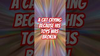 A cat crying because his toys was broken animation animasikucinglucu cat kucing cartoon fyp [upl. by Ailisec]