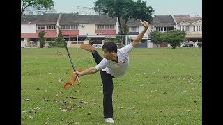 Beginner Sword Form 三段剑术 San Duan Jian Shu  Kung Fu Wushu Changquan [upl. by Gamages12]