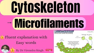 Cytoskeleton Structure and Function  Microfilaments  For BSc 1 sem MSc 2 Sem  NET  CSIR etc [upl. by Bradly]