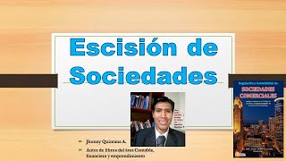 Escisión de Sociedades Total y Parcial  Cuadros de Escisión [upl. by Ahsekram]