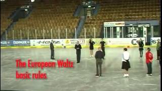 European Waltz  Jimmy Young Ice Dance Course Garmisch 2013 [upl. by Mat]