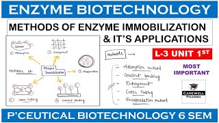 Methods Of Enzyme Immobilization  L3 U1  Pharmaceutical Biotechnology 6th sem [upl. by Adner]