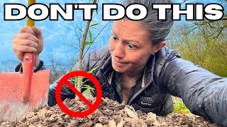 12 Planting MISTAKES Killing Your Fruit Trees [upl. by Alletneuq797]