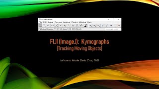 FIJI ImageJ Kymographs Tracking Moving Objects [upl. by Amend]