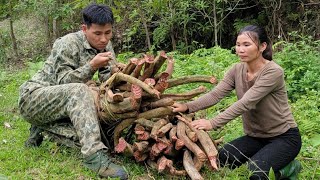 Mr Nghiem and I went to the forest to pick dog blood vines to sell  Buy pork to cook  Lý Thị Thu [upl. by Collete]