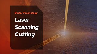 Bodor Technology Laser Scanning Cutting [upl. by Snider591]