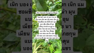 เนื้อเพลง vannda  Sangkran magic [upl. by Nevetse581]