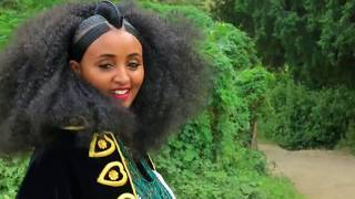 Ethiopian music  Haftom GMichael  Welelaatonወለላኣተን  Ethiopian Tigrigna Music Official Video [upl. by Reidid]