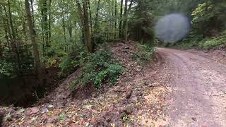 Wald Spaziergang im Regen ☔️ [upl. by Viki]