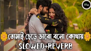 তোমায় ছেরে জাবো বলো কোথায় slowedreverb Tomay Cere Jabo Bolo Kothay Milon Puja TikTok Viral Lofi [upl. by Siuqram]