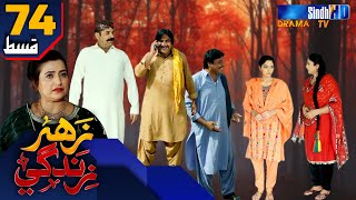 Zahar Zindagi  Ep 74  Sindh TV Soap Serial  SindhTVHD Drama [upl. by Bakki61]