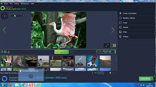 Software Giveaway Ashampoo® Photo Optimizer 2018 Lifetime License  Check Description [upl. by Anaiuq]
