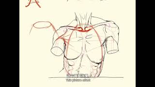 human art drawing｜How to optimize the shape design of the chest and shoulders [upl. by Elehcir890]