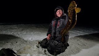 Pre Spawn Eel Pout Fishing in Northern Minnesota  InDepth Outdoors S15 E16 [upl. by Keynes451]