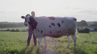 Teaser Webdocumentaire quotÀ l’heure du Lait – Une ferme laitière françaisequot [upl. by Sussman]