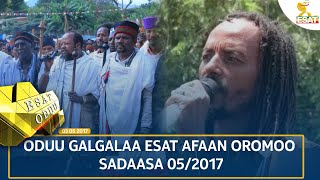 Ethiopia  ESAT ODUU 14 NOVEMBER 2024 [upl. by Timofei]