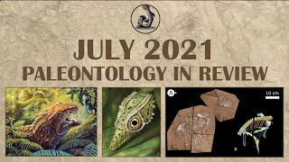 New Fossils and Paleontology July 2021 [upl. by Latsyrc]