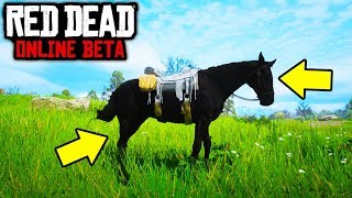 GET THIS EXCLUSIVE DARK HORSE In Red Dead Redemption 2 Online FOR FREE RDR2 ONLINE BEST HORSE [upl. by Anelim308]